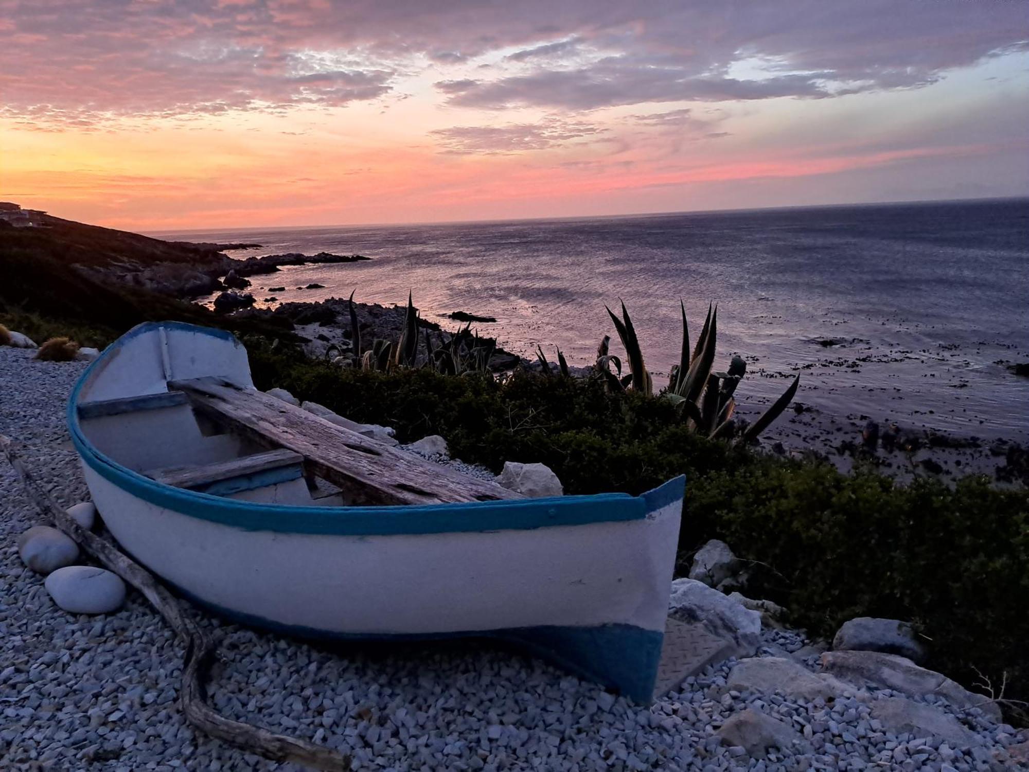 Kleinzee Oceanfront Guesthouse Gansbaai Exterior photo